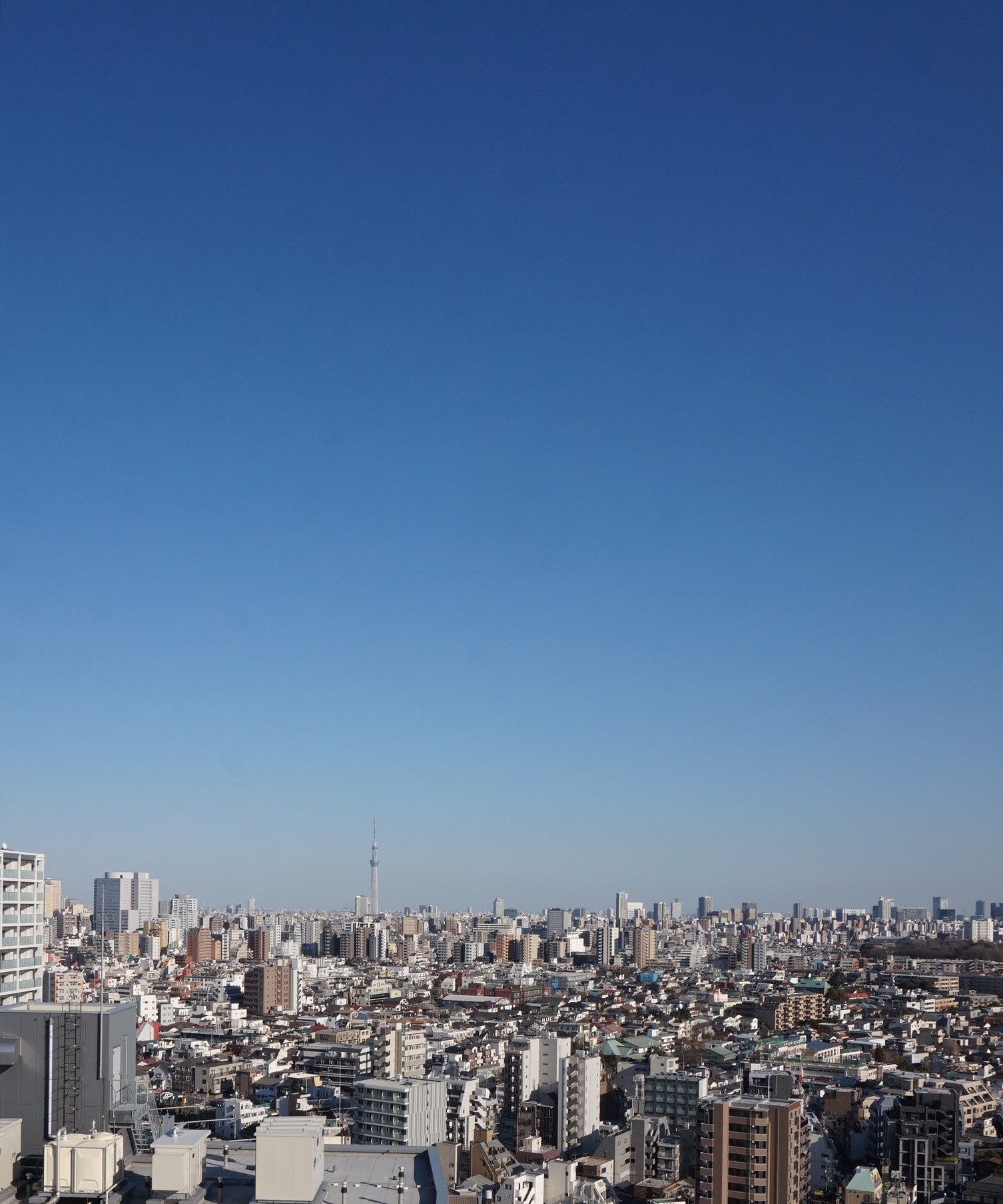 マンションから見える景色